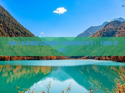 沈阳去云南丽江自由团