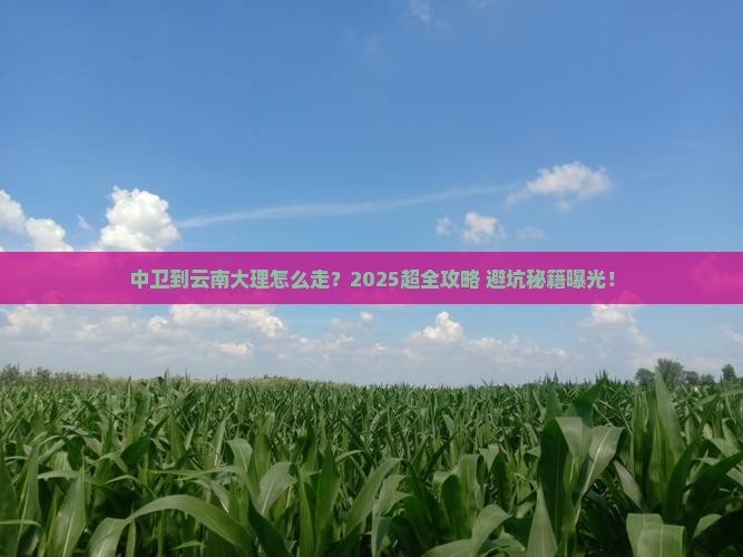 中卫到云南大理攻略