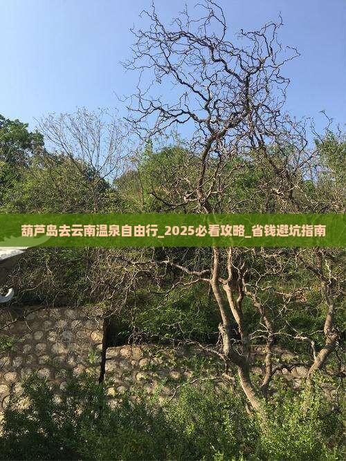 葫芦岛去云南温泉自由行