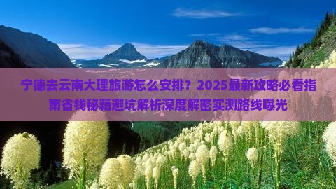 宁德去云南大理旅游