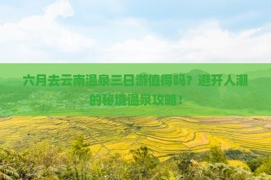 六月去云南温泉三日游
