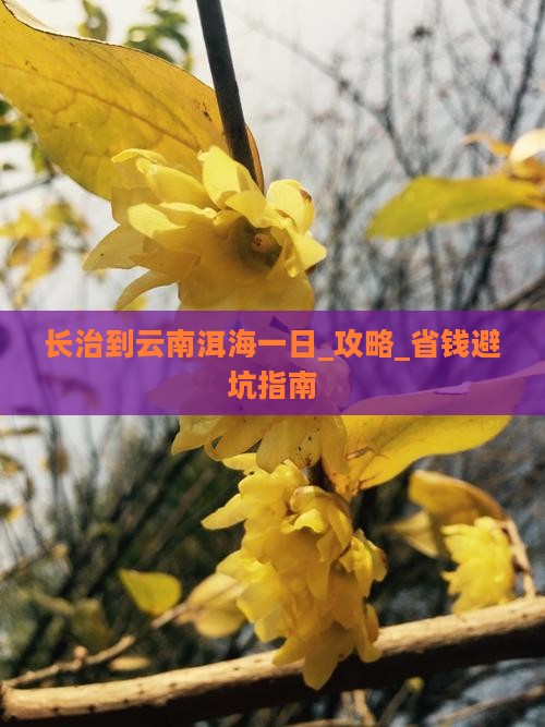 长治到云南洱海一日