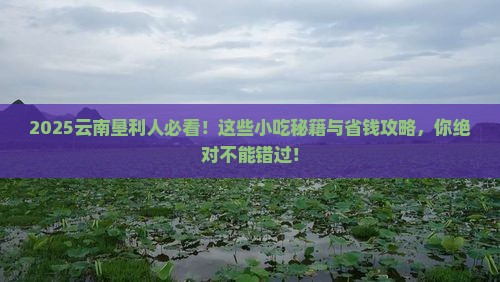 垦利去云南旅游小吃