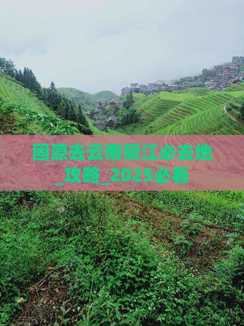 固原去云南丽江必去地