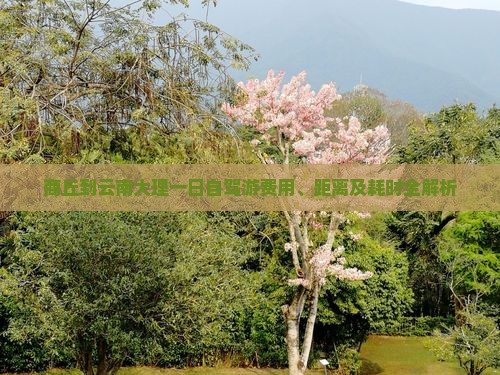 商丘到云南大理一日