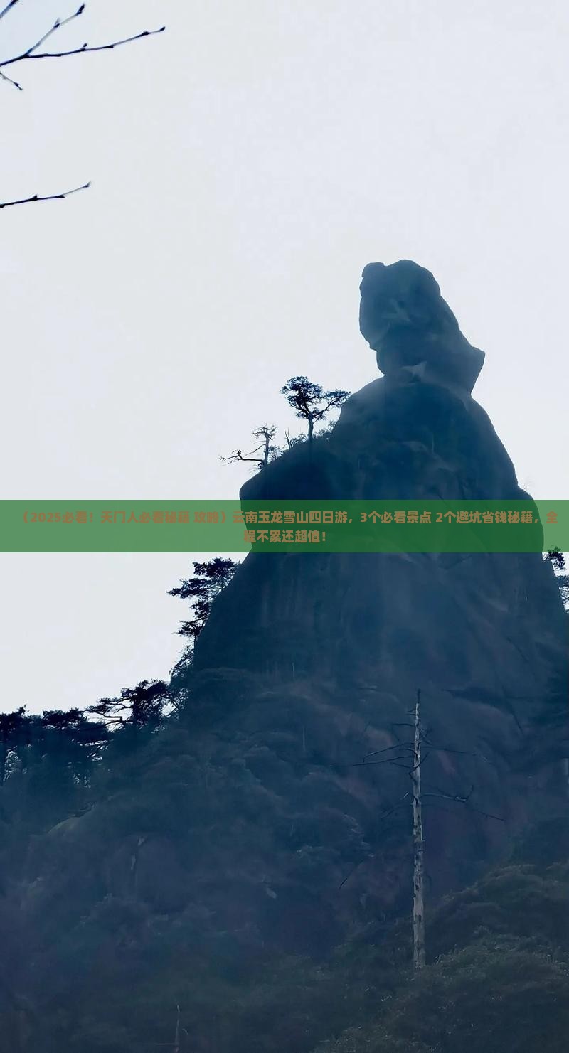 天门去云南玉龙雪山四日游