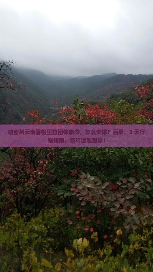 哈密到云南香格里拉团体旅游