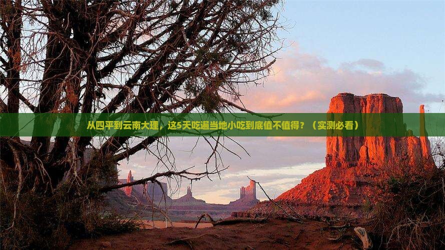 四平到云南大理旅游小吃