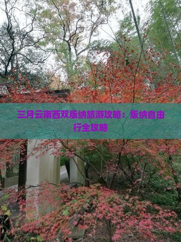 三月到云南西双版纳自由行