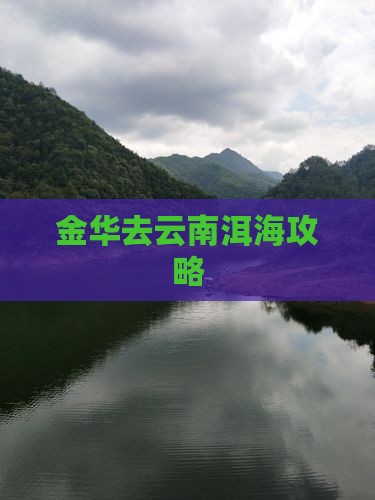 金华去云南洱海攻略