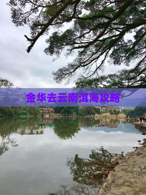 金华去云南洱海攻略