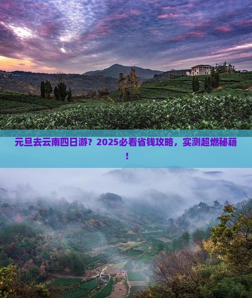 元旦去云南四日游
