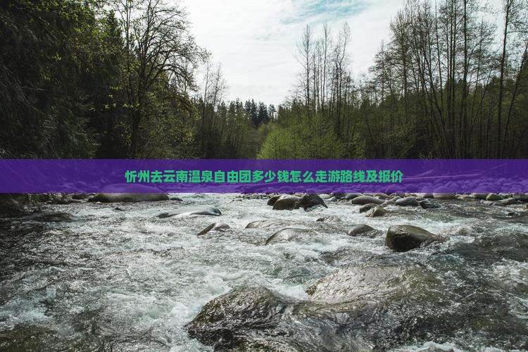 忻州去云南温泉自由团