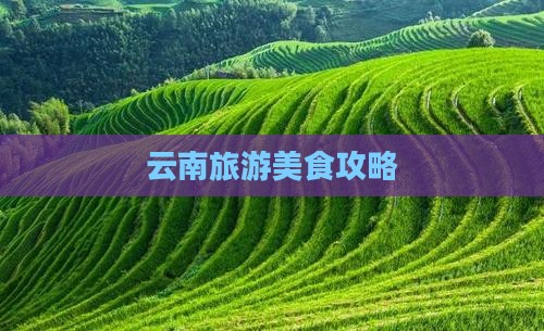 嘉兴去云南旅游小吃
