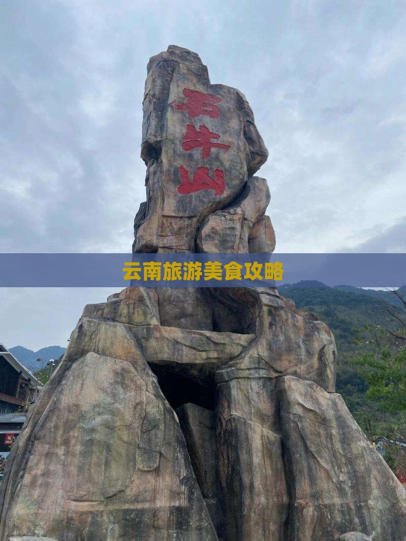 嘉兴去云南旅游小吃