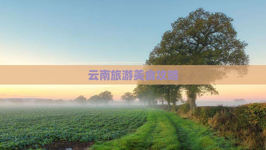 嘉兴去云南旅游小吃