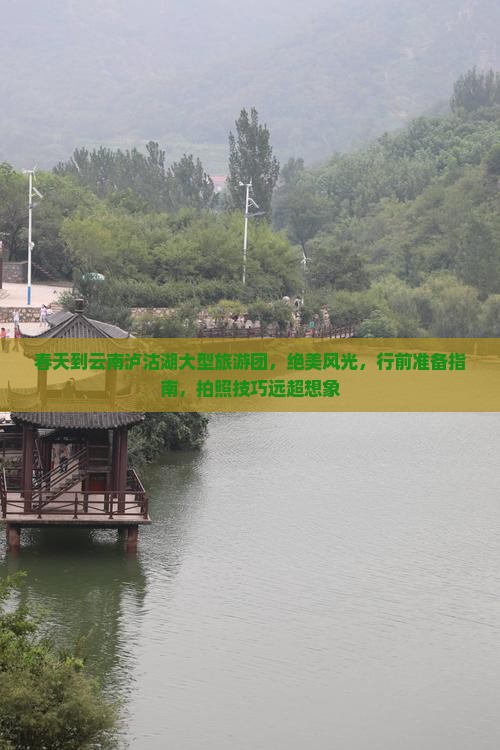 春天到云南泸沽湖大型旅游团