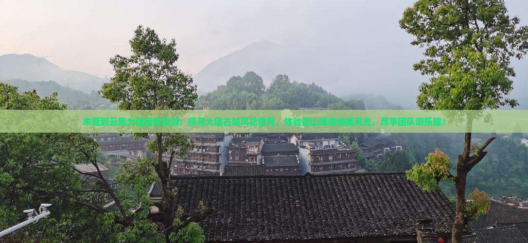 东营到云南大理团体旅游