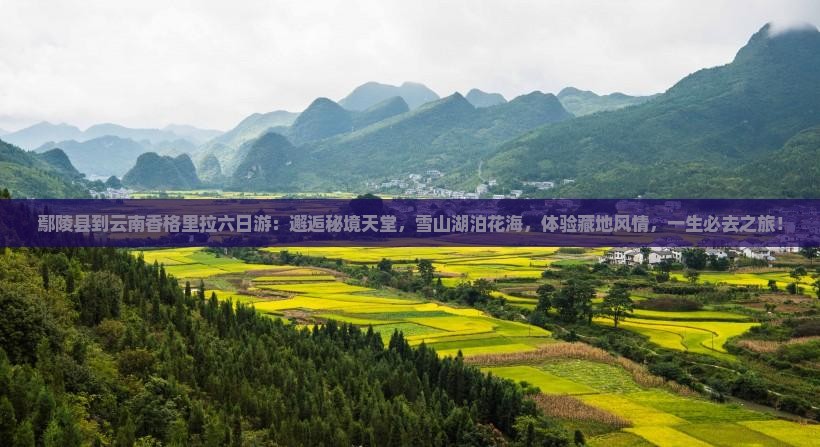鄢陵县到云南香格里拉六日游