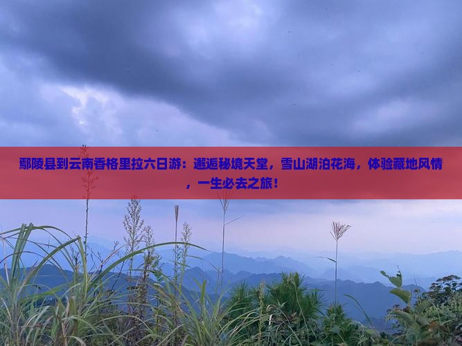 鄢陵县到云南香格里拉六日游
