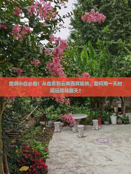 旅游小白必看！从自贡到云南西双版纳，如何用一天时间玩得嗨翻天？