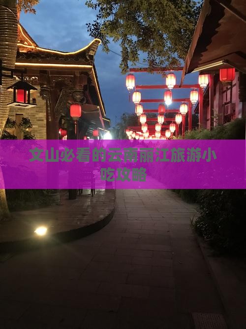 文山必看的云南丽江旅游小吃攻略