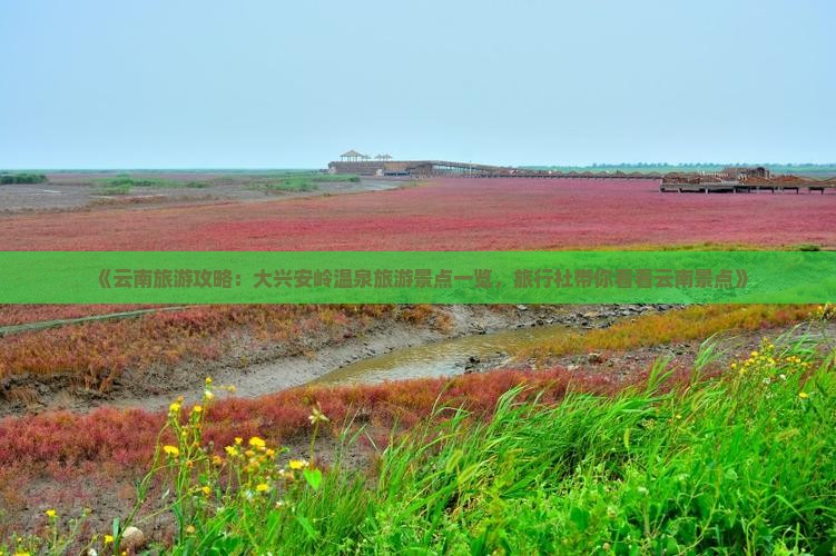 《云南旅游攻略：大兴安岭温泉旅游景点一览，旅行社带你看看云南景点》
