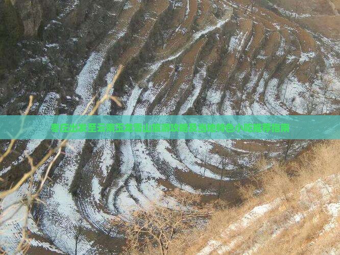 枣庄出发至云南玉龙雪山旅游攻略及当地特色小吃推荐指南