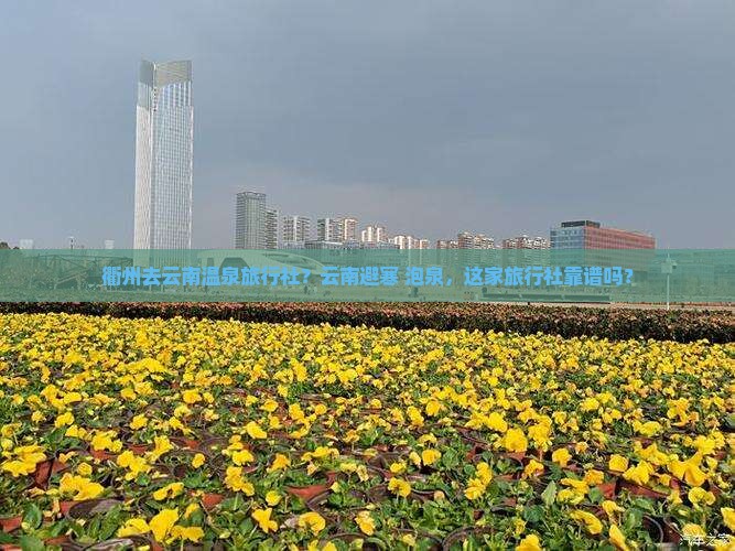 衢州去云南温泉旅行社？云南避寒+泡泉，这家旅行社靠谱吗？