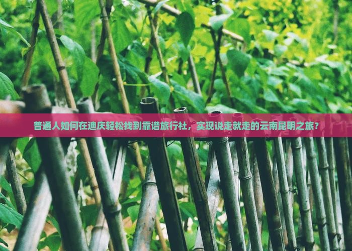 普通人如何在迪庆轻松找到靠谱旅行社，实现说走就走的云南昆明之旅？