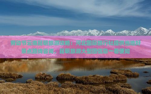 劳动节云南昆明旅游攻略：河北国际旅行社提供当地好景点路线咨询，昆明旅游大型团信息一看便知