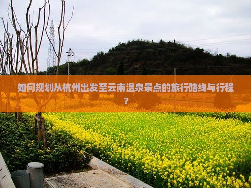 如何规划从杭州出发至云南温泉景点的旅行路线与行程？