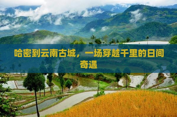 哈密到云南古城，一场穿越千里的日间奇遇