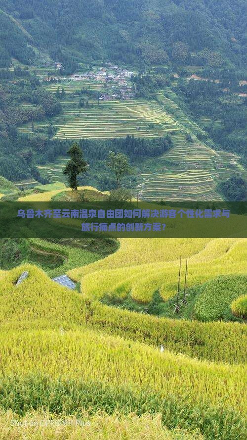 乌鲁木齐至云南温泉自由团如何解决游客个性化需求与旅行痛点的创新方案？