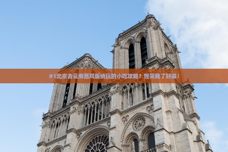 #1北京去云南西双版纳玩的小吃攻略？馋哭我了好嘛！