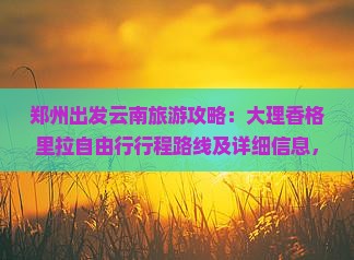 郑州出发云南旅游攻略：大理香格里拉自由行行程路线及详细信息，河北国际旅行社为您提供专业旅游路线