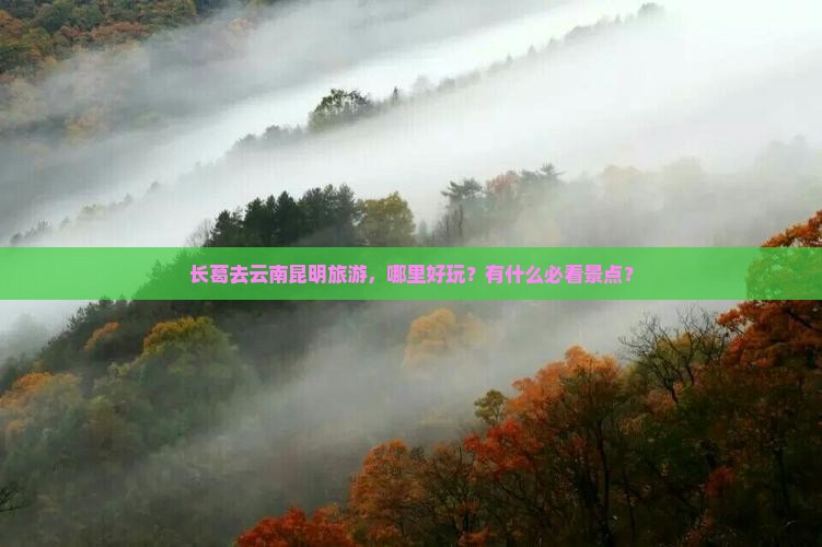 长葛去云南昆明旅游，哪里好玩？有什么必看景点？