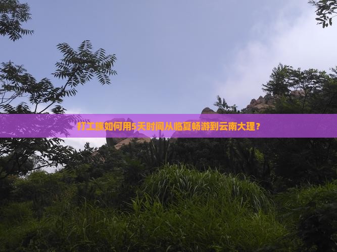 打工族如何用5天时间从临夏畅游到云南大理？