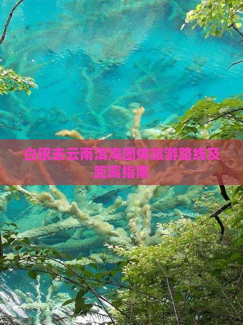 白银去云南洱海团体旅游路线及距离指南