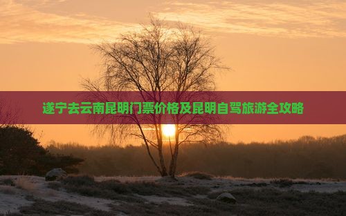 遂宁去云南昆明门票价格及昆明自驾旅游全攻略