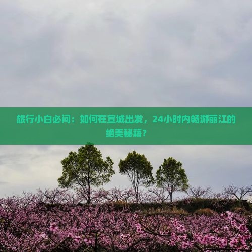 旅行小白必问：如何在宣城出发，24小时内畅游丽江的绝美秘籍？
