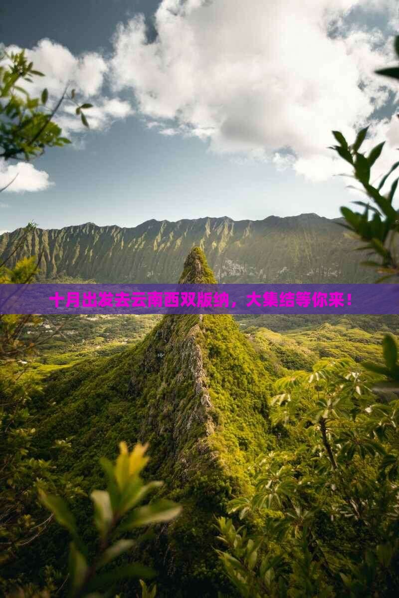 十月出发去云南西双版纳，大集结等你来！