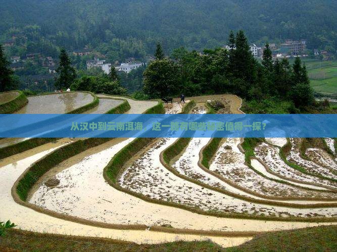 从汉中到云南洱海，这一路有哪些秘密值得一探？