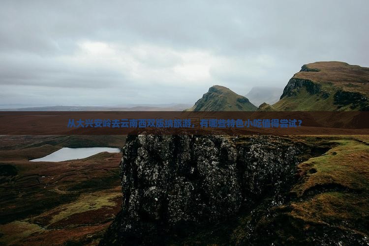 从大兴安岭去云南西双版纳旅游，有哪些特色小吃值得尝试？