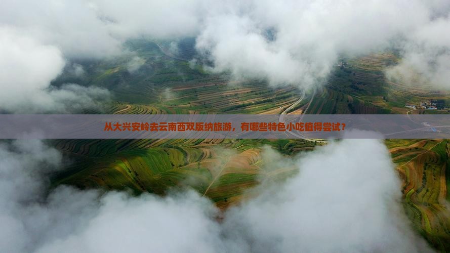 从大兴安岭去云南西双版纳旅游，有哪些特色小吃值得尝试？