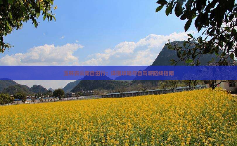 玉林去云南自由行：详细攻略与自驾游路线指南