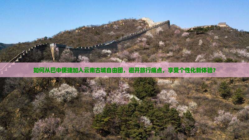 如何从巴中便捷加入云南古城自由团，避开旅行痛点，享受个性化新体验？