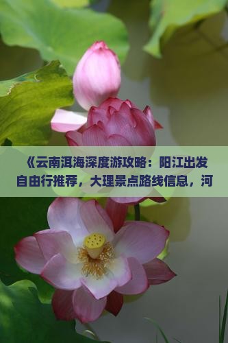 《云南洱海深度游攻略：阳江出发自由行推荐，大理景点路线信息，河北国际旅行社带你看看大概多少钱》