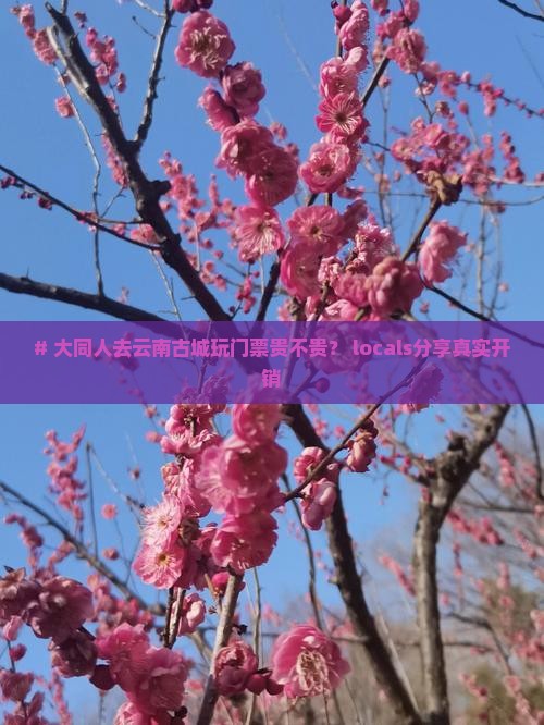 # 大同人去云南古城玩门票贵不贵？ locals分享真实开销