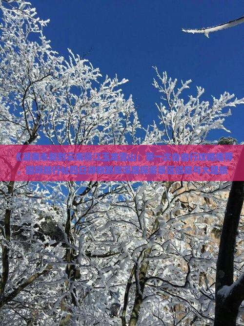《湖南永新到云南丽江玉龙雪山：第一次自由行攻略推荐，国际旅行社四日游新路犀深度探索景区信息与大理旅行必看》
